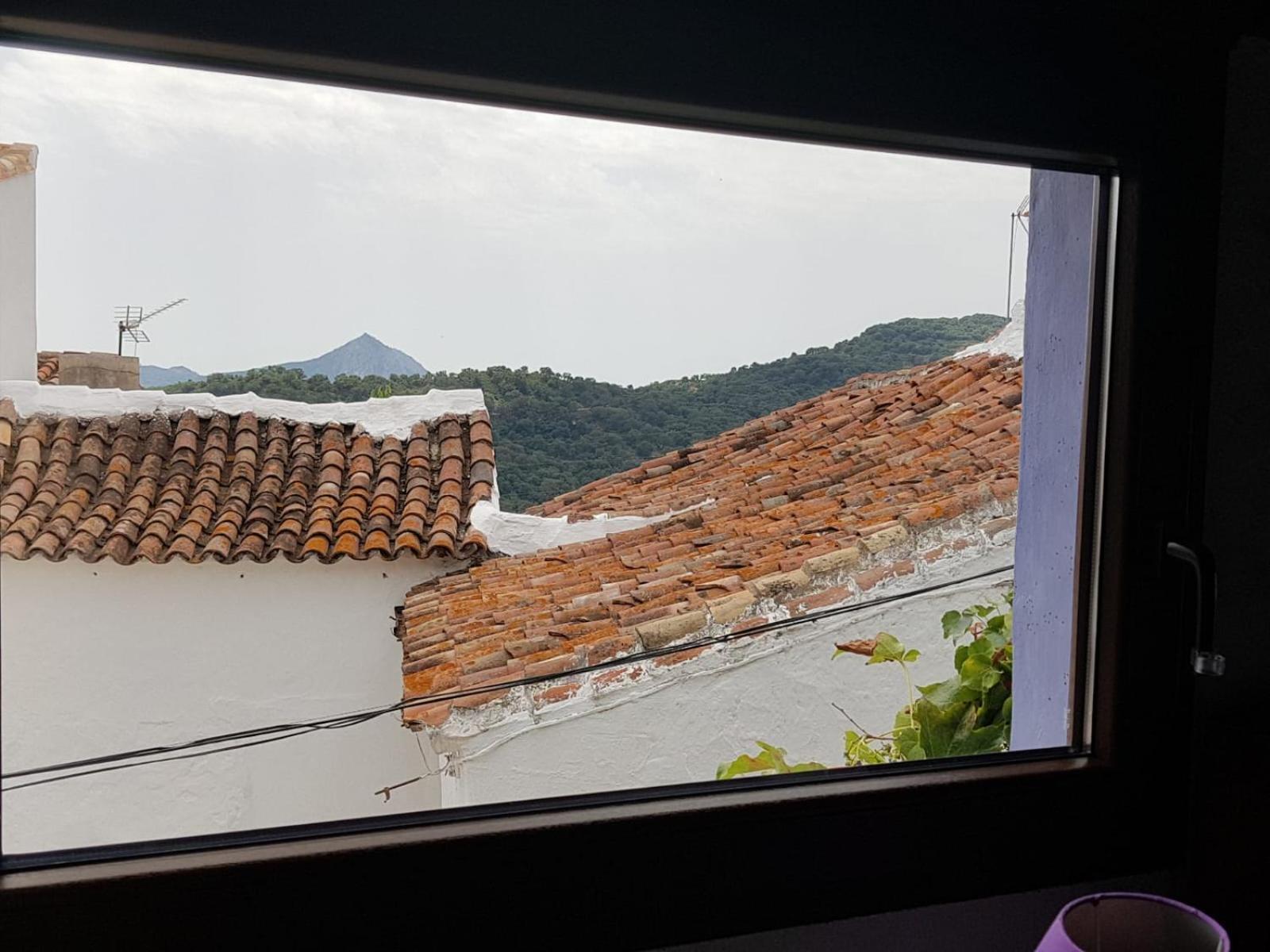 Casa La Yedra By Casaturistica Villa Benarraba ภายนอก รูปภาพ